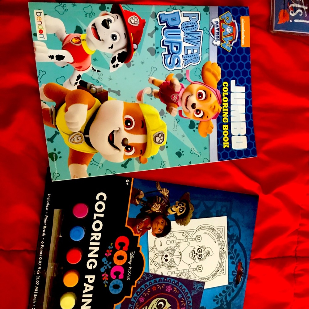 Bundle set coloring and paint